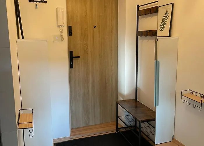 Cozy Dzielna 公寓 华沙